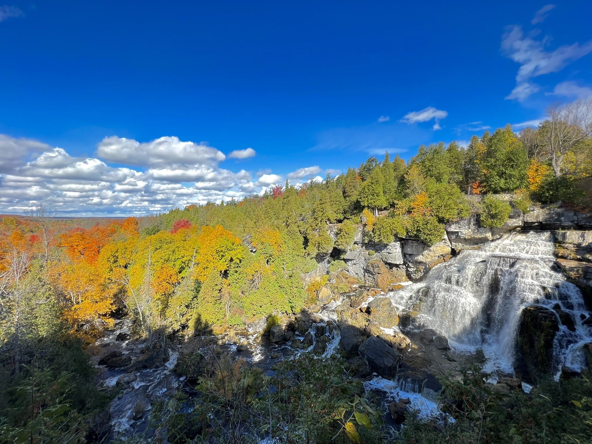 Photos of Owen Sound, Ontario wildflowers trails | AllTrails