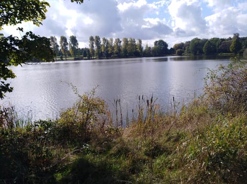 Druidensteig Etappe 4: Elkenroth - Betzdorf