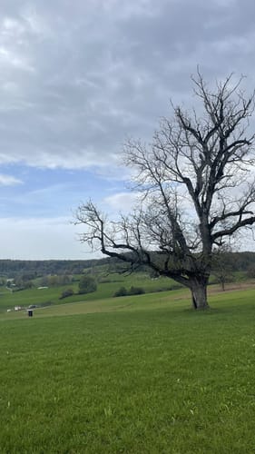 Basel - Whylen - Herten