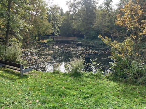 Von Tetz um die Rur zum Barmener Baggersee