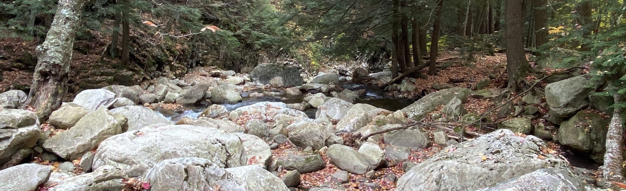 East Dorset Trail, Vermont 15 Reviews, Map AllTrails