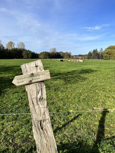 Blankensee Rundweg zum Vogelbeobachtungsturm