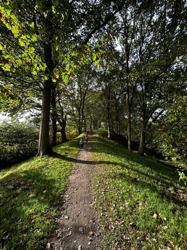 Wikingerland Wanderung (7km)