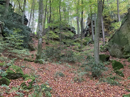 Felsenweg 3 (Bollendorf/Bollenduerf)