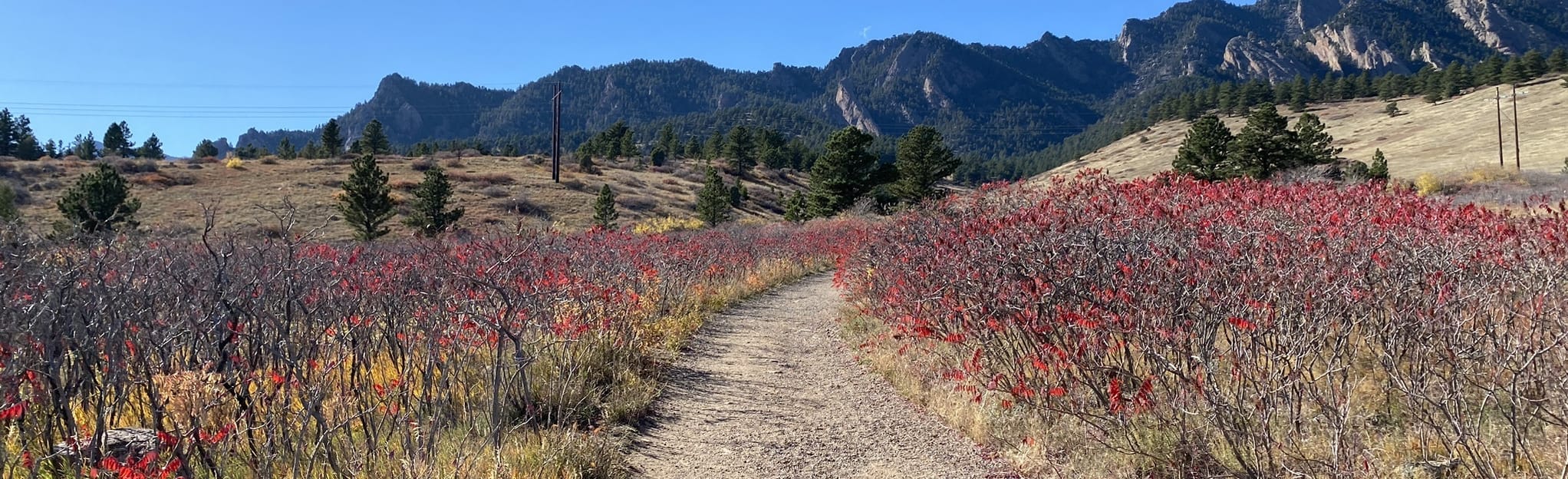 Mesa Trail Eldorado Springs to Chautauqua 168 Reviews, Map Colorado