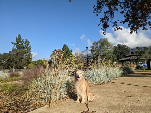 lake arcadia mountain bike trails