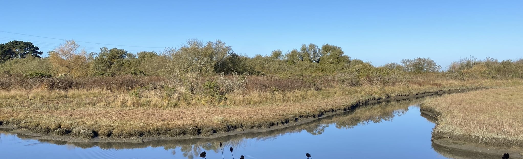 Butcher Slough Log Pond: 39 Reviews, Map - California | AllTrails