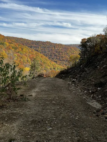 Best Hikes and Trails in State Game Lands Number 108 AllTrails