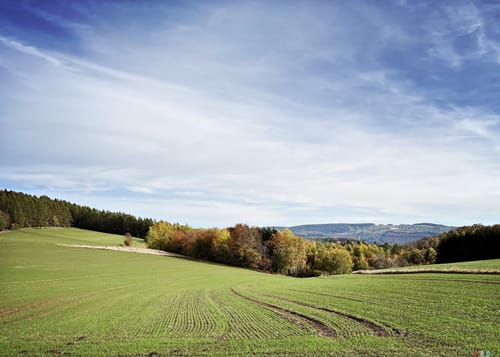 Rund um Schneeberg