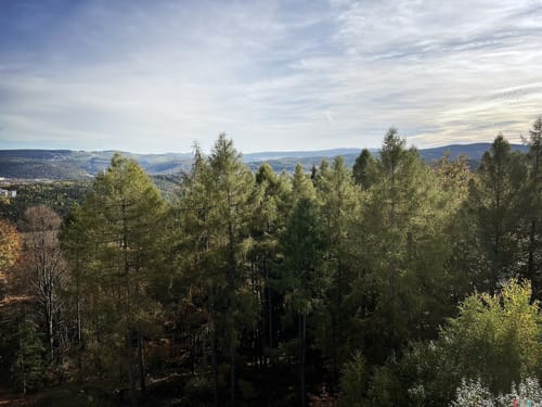 Rund um Schneeberg