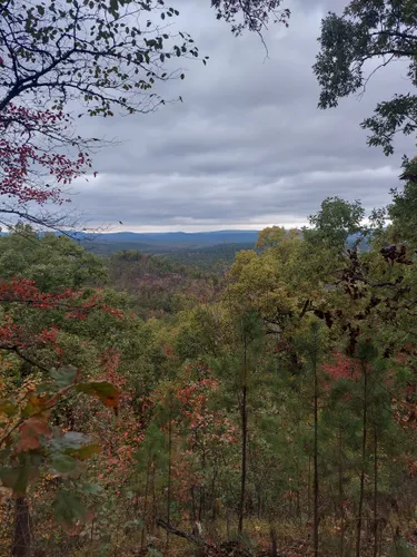 Best 10 Hikes and Trails in Ouachita National Forest | AllTrails