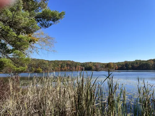 Yankee Springs Original Tee — NATURE WALK