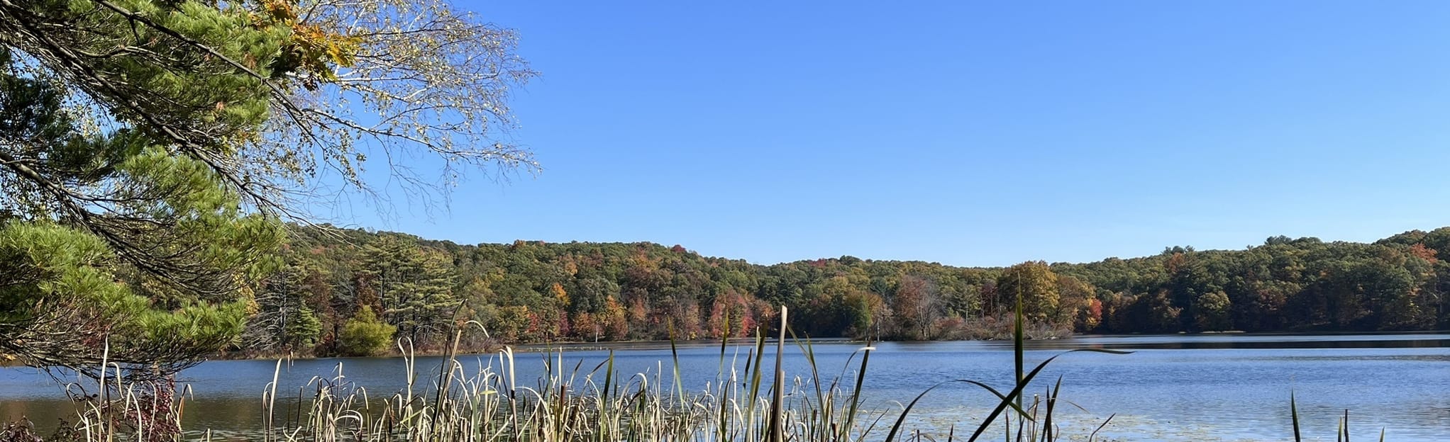 Hall Lake Loop, Michigan 241 Reviews, Map AllTrails