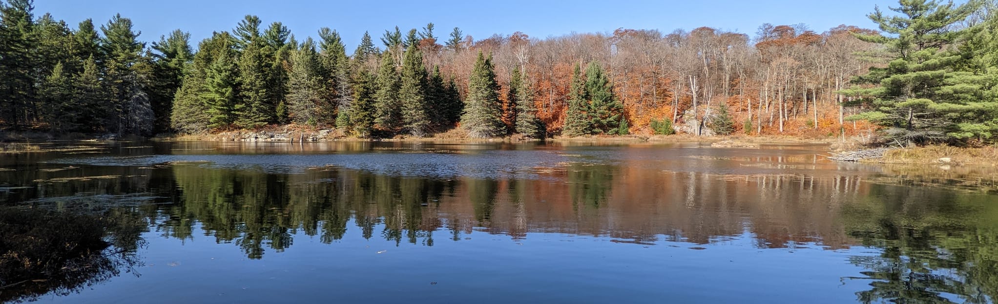 Extended Luskville Traverse 15 Reviews, Map Quebec, Canada AllTrails