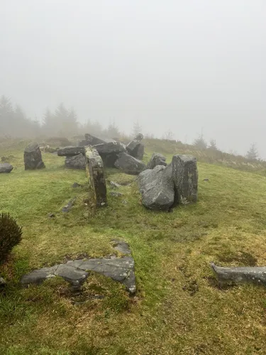 Best Forest Trails in Cavan Burren Park | AllTrails