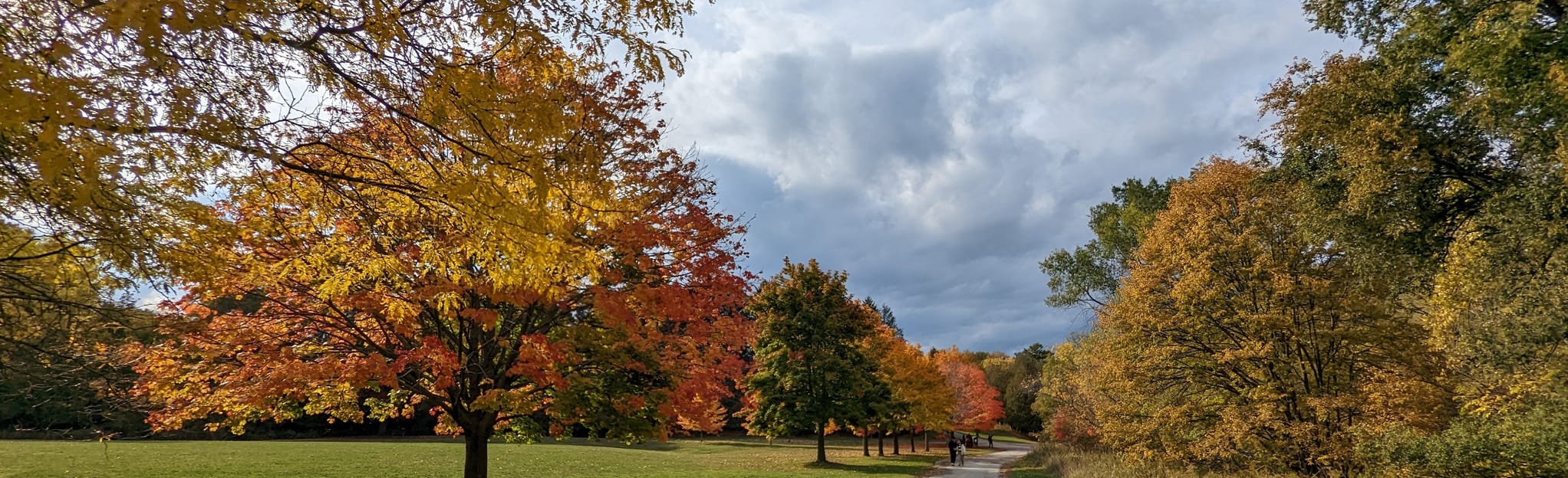 Highland Creek Ravine to Cedar Ridge: 261 Reviews, Map - Ontario ...