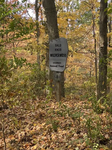 Best Hikes and Trails in Bald Knob Wilderness | AllTrails