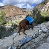 Cattle Canyon Trail [CLOSED], California - 168 Reviews, Map | AllTrails