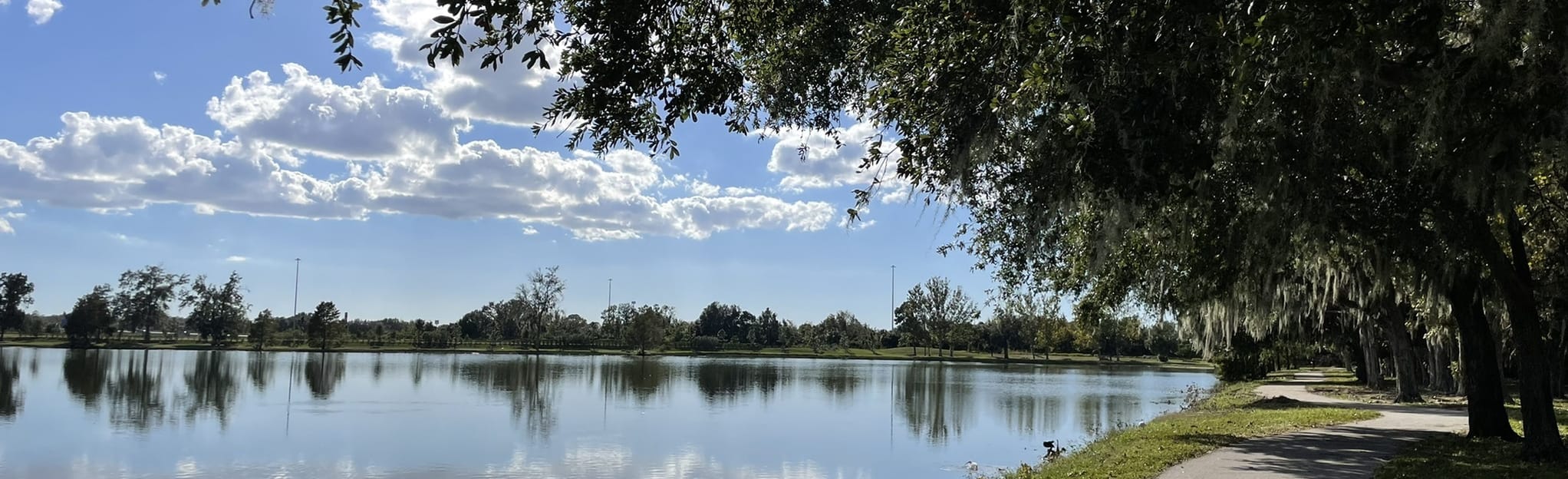 Beacon Lake Loop, Florida 149 Reviews, Map AllTrails