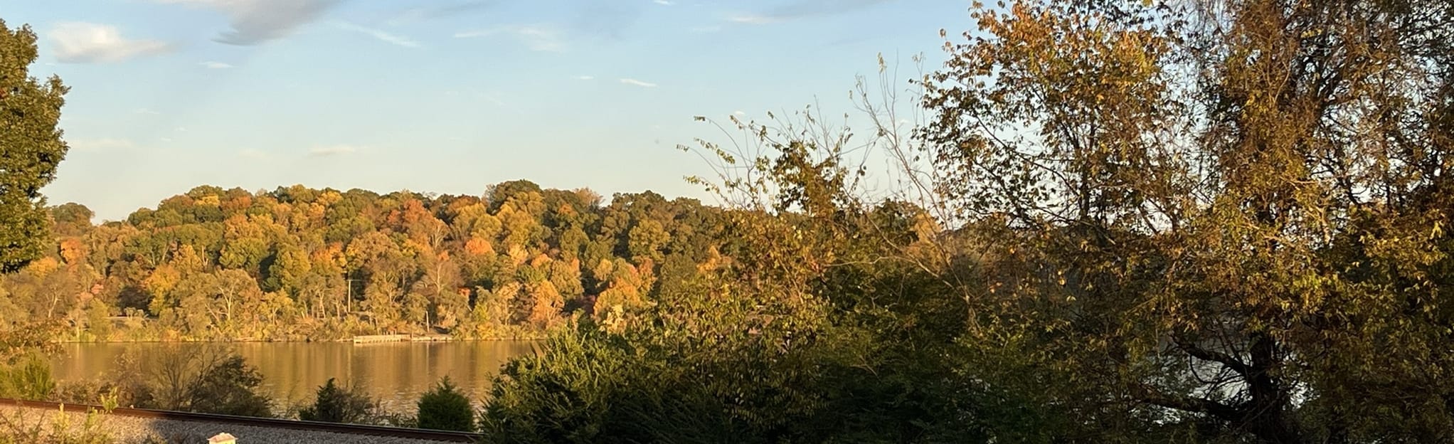 Anchor Park Walking Loop, Tennessee 77 Reviews, Map AllTrails