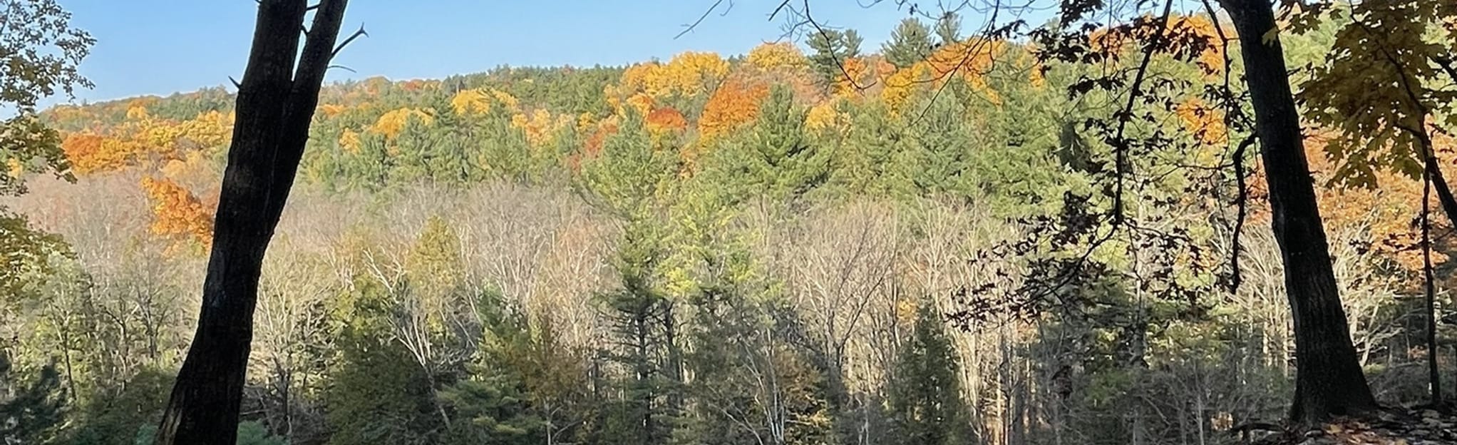 Willow Creek Loop Trail 581 foto's Ontario, Canada AllTrails