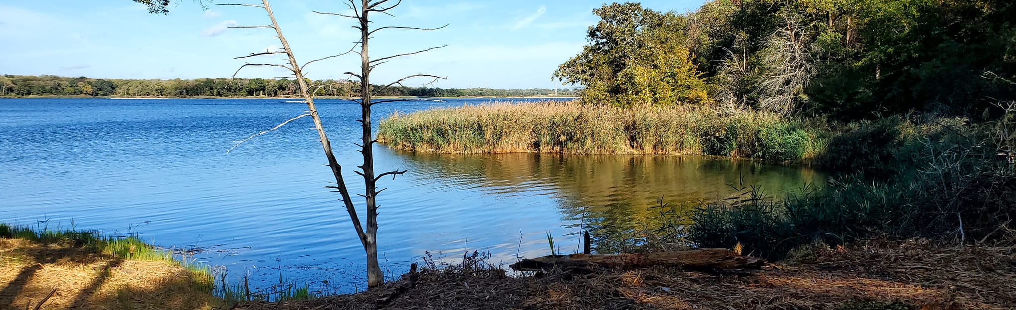Fairfield State Park North Loop Map, Guide Texas AllTrails