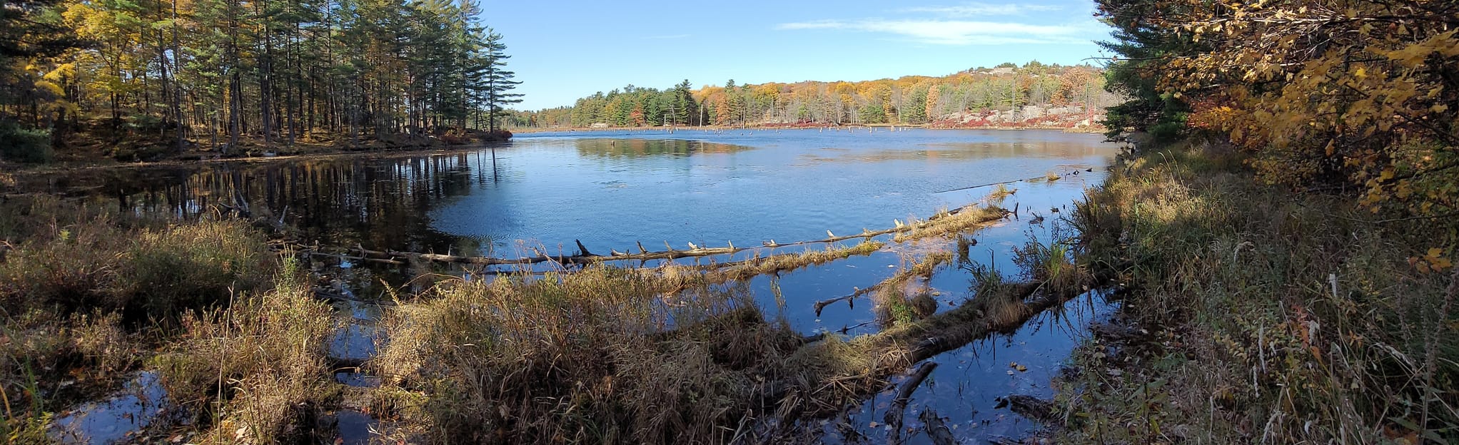 Charleston Lake Blue Mountain Trail 407 foto's Ontario, Canada