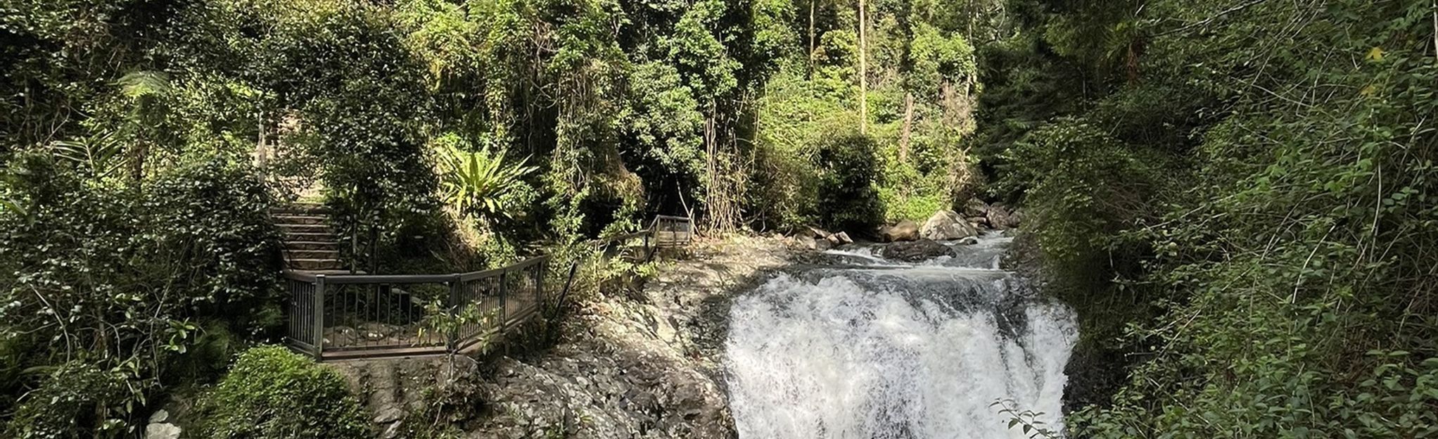 alltrails-natural-bridge-walk-379-reviews-map-queensland-australia