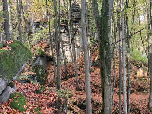 Felsenweg 6 - Teufelsschlucht (NaturWanderPark deluxe)