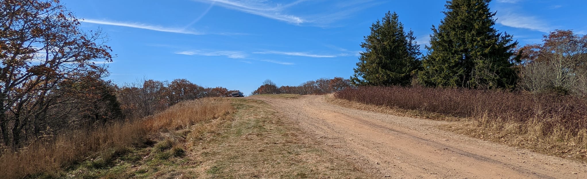 Flagpole Knob via Forest Service Road 85 66 foto's Virginia AllTrails