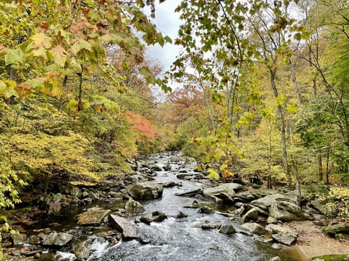 Rock creek park running trails store