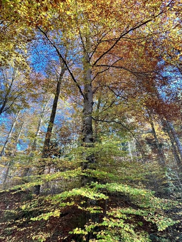 Von der Grubmühle durchs Mangfalltal