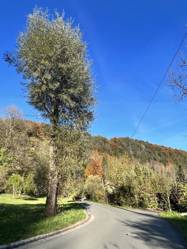 Von der Grubmühle durchs Mangfalltal
