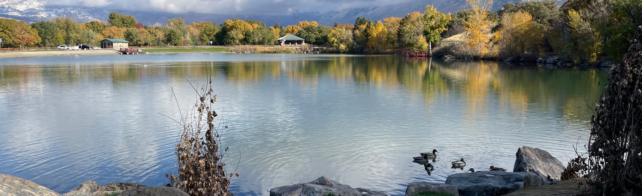 AllTrails American Fork to Art Dye Park Cycling Route 49 Reviews