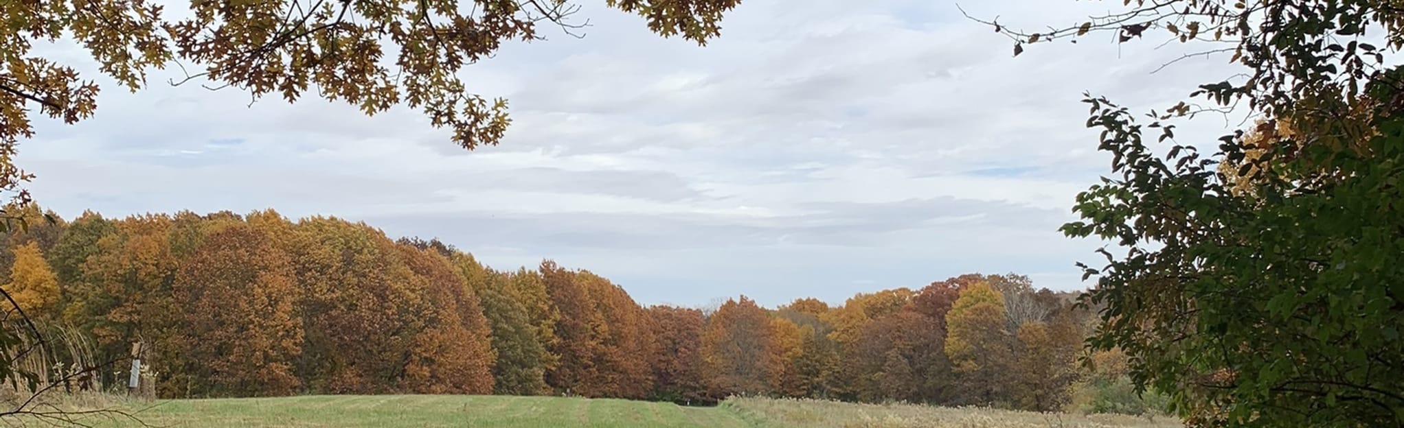 Sand Creek Outer Loop, Illinois 232 Reviews, Map AllTrails