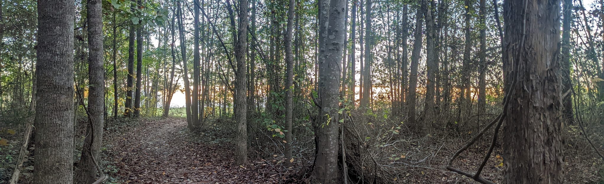 Woodland Loop, North Carolina 241 Reviews, Map AllTrails