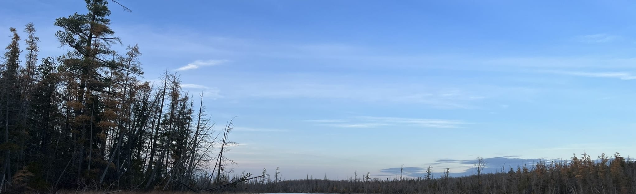Bells Lake Paddle, Ontario, Canada 7 Reviews, Map AllTrails