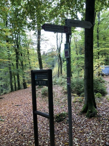 Der Bergener (Traumschleife)