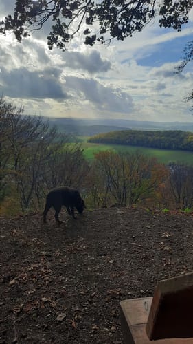 Lengdener Burg