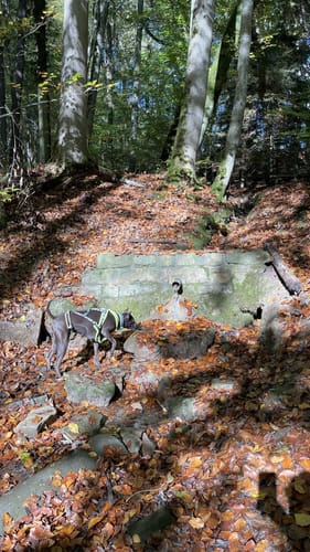 Föllbach Schlucht