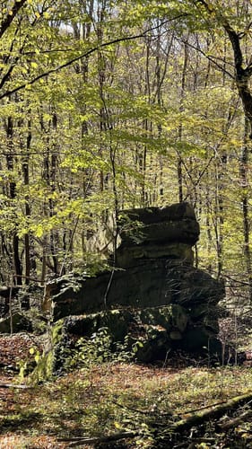 Föllbach Schlucht