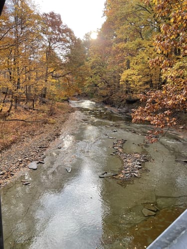 Best Hikes and Trails in Indian Point Park | AllTrails