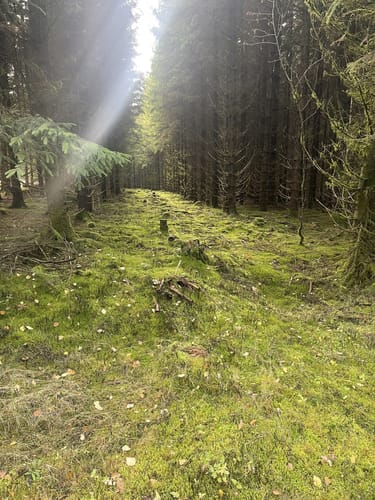 Rund um den Arnsberg