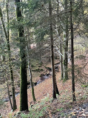 Rund um den Arnsberg