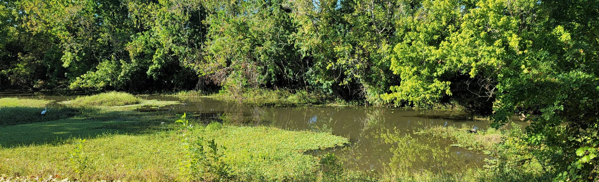 Oyster Creek Trail 133 fotos Texas AllTrails