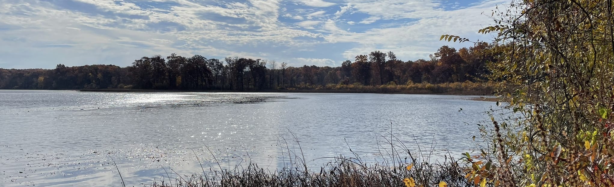 Waterloo Pickney to Lakeview Trail: 273 Reviews, Map - Michigan | AllTrails