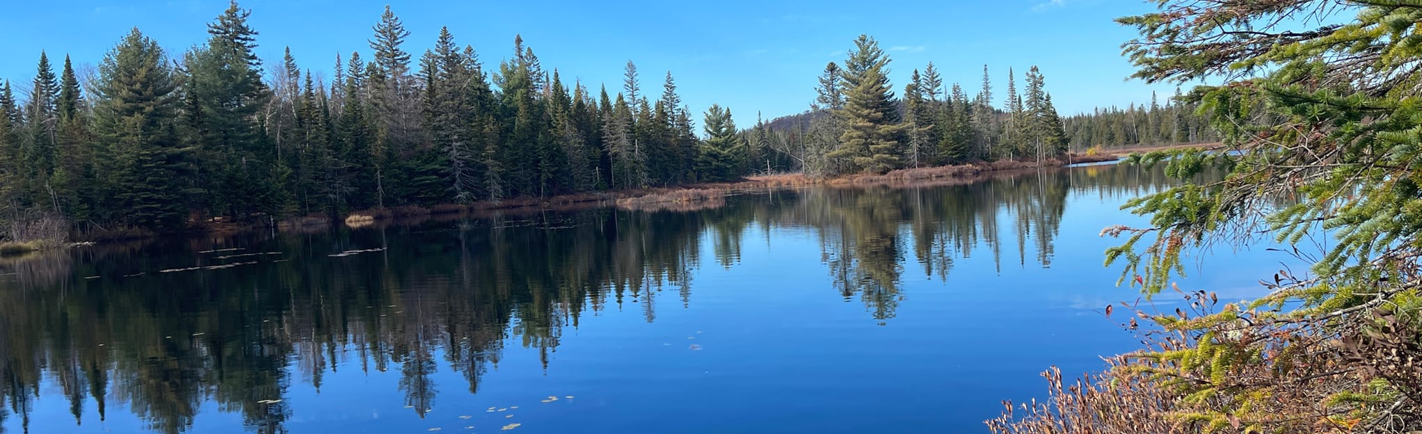 SaintBoniface Trail 44 Reviews, Map Quebec, Canada AllTrails