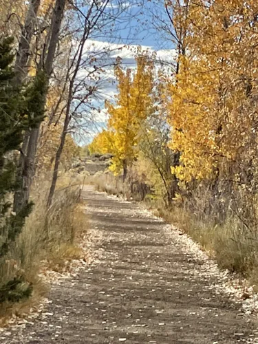 are dogs allowed at running deer natural area