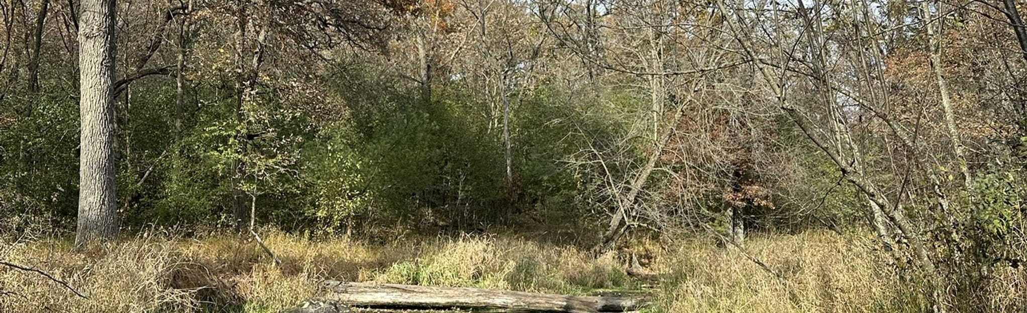 Osceola Loop 140 Reviews, Map Wisconsin AllTrails