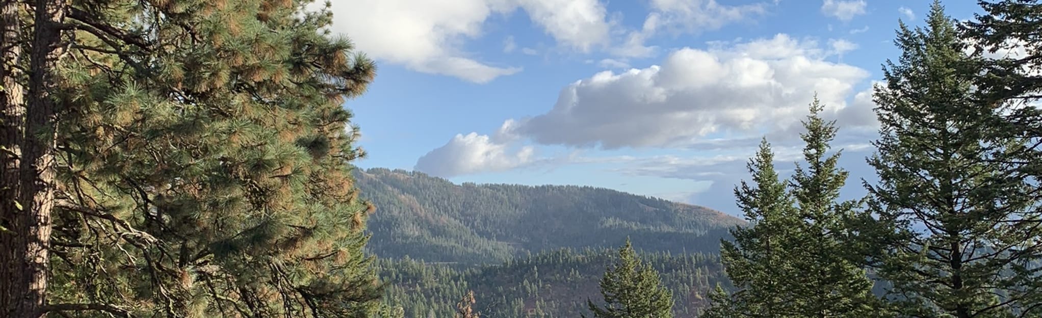 Snowshoe Hare Loop via Ponderosa Pine Overlook Idaho AllTrails